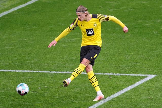 个体特点 个体特点