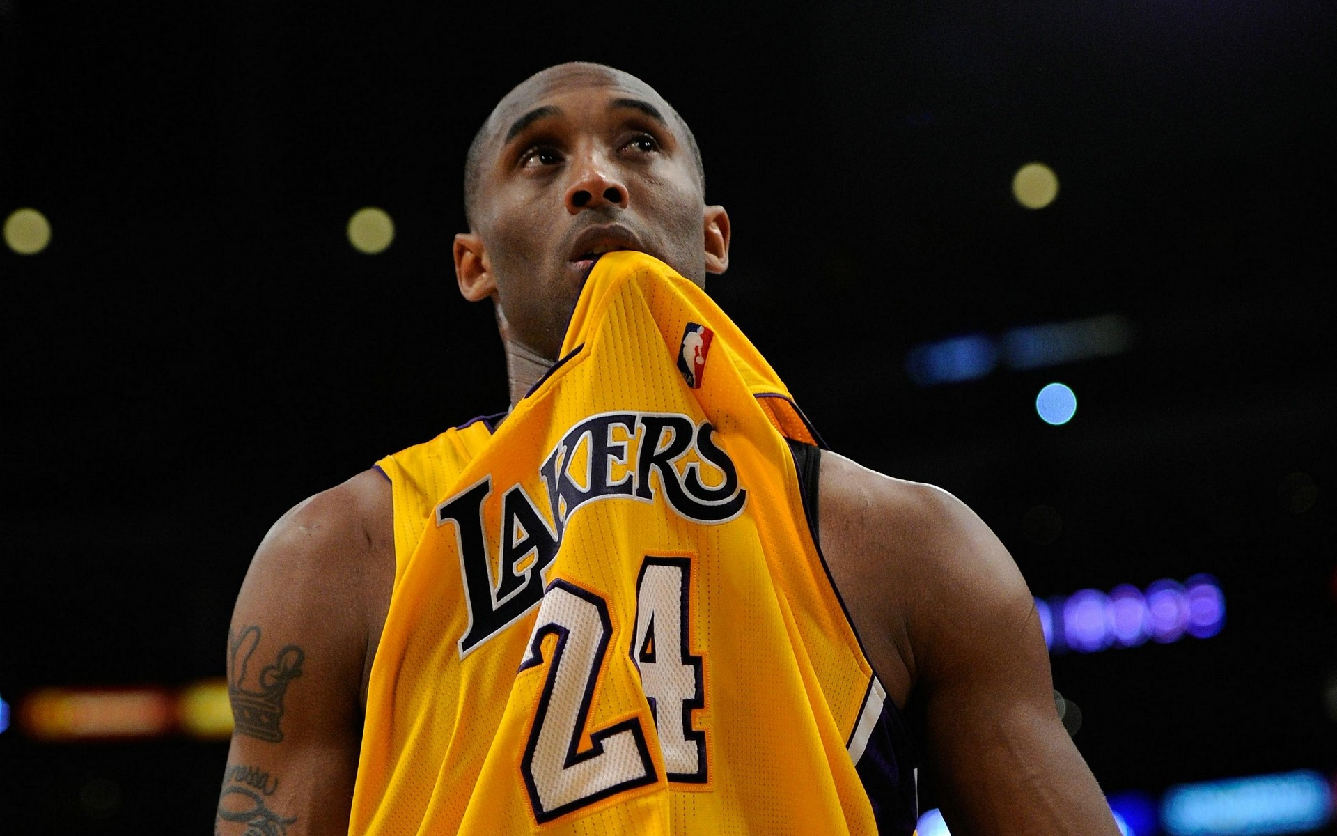 赛依然具有 赛依然具有