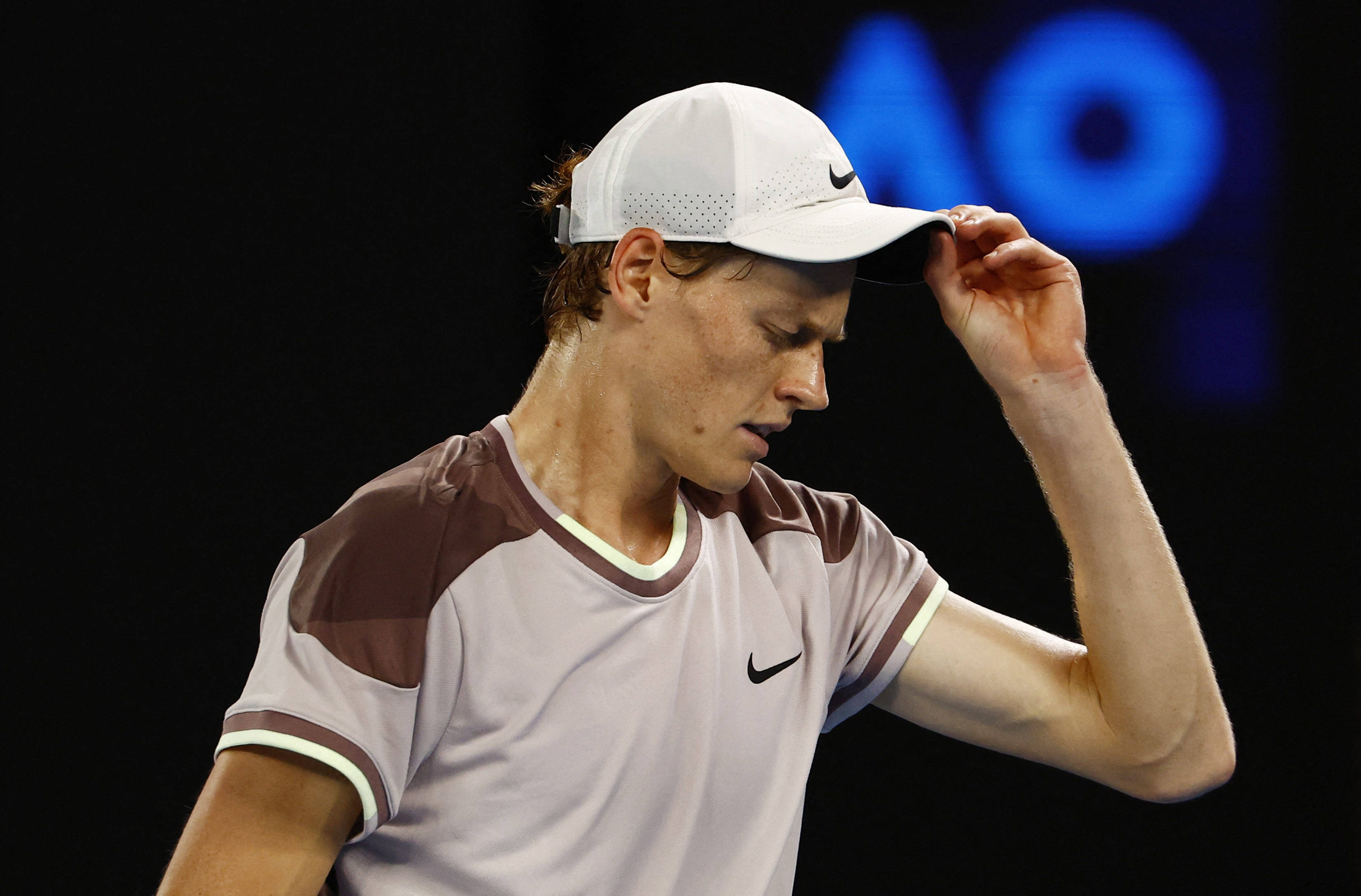 恰恰填补了 恰恰填补了